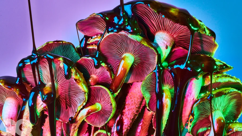 Magic Mushrooms